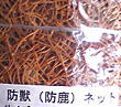 �h�b�l�b�g 2.3m�~30m